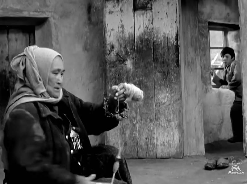 Lesetipp – Djamila